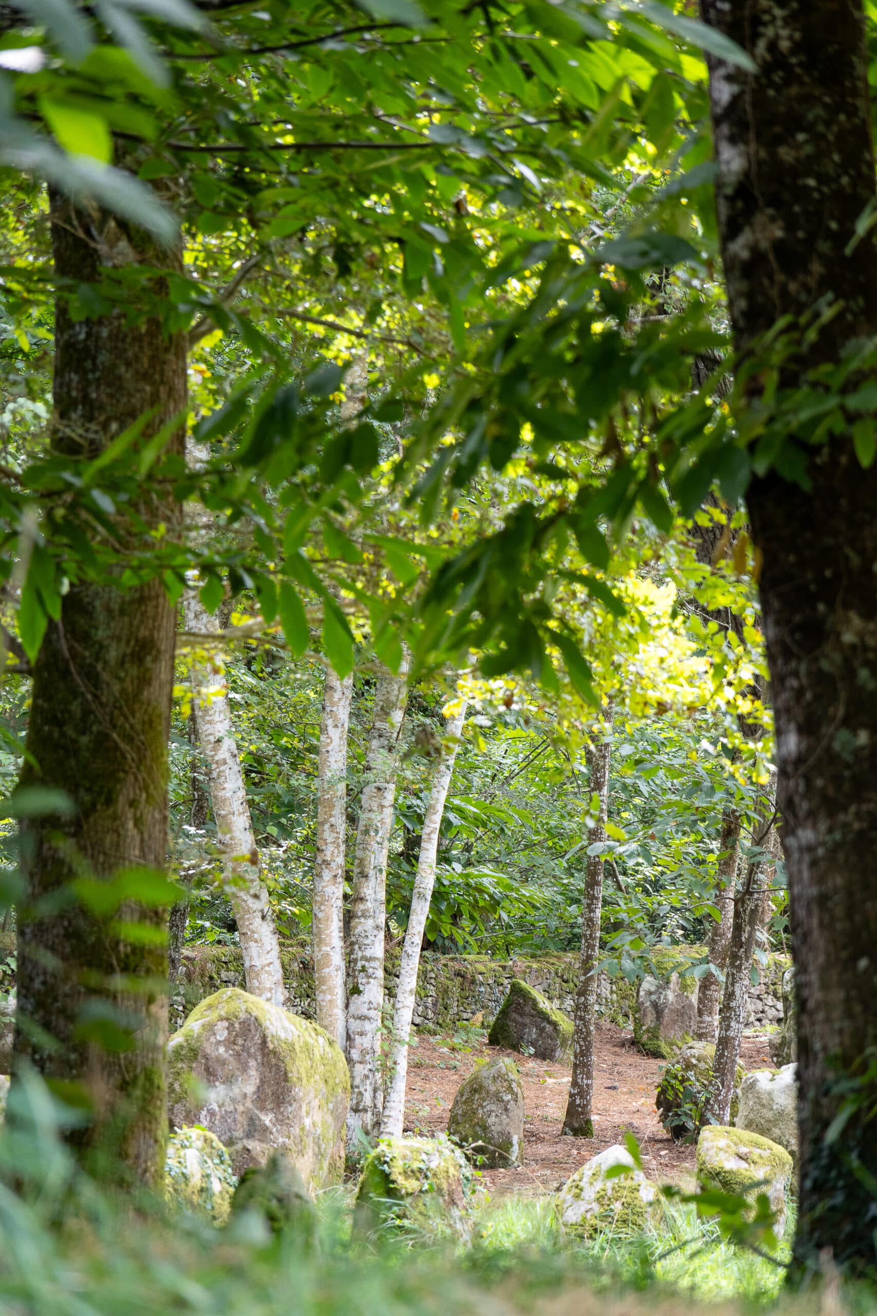 Menhir proche de carnac