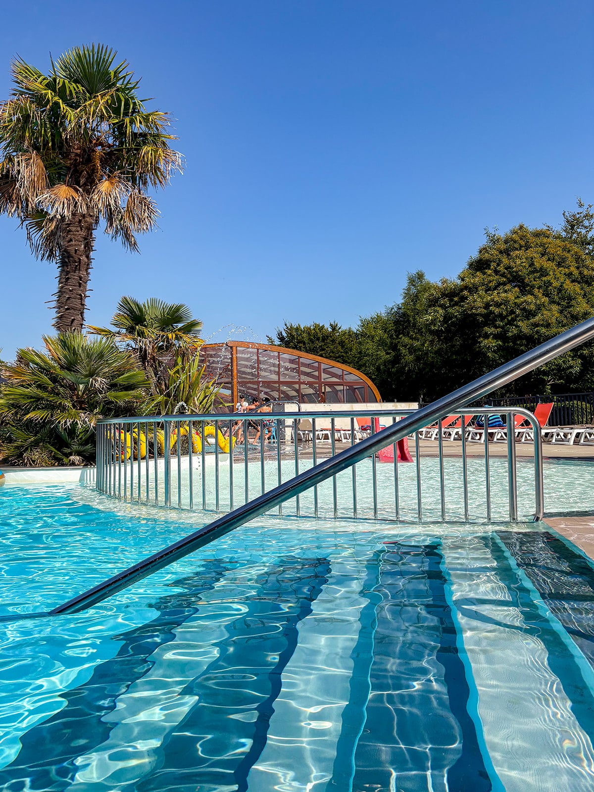 Piscine extérieure ensoleillée avec palmier.