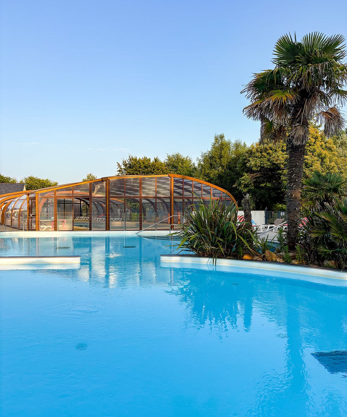 Piscine extérieure entourée de palmiers et végétation