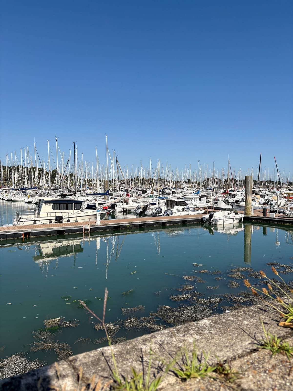 Port avec de nombreux bateaux amarrés.